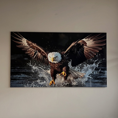 Stampa Grande Formato - Acquila